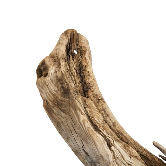 Natural Driftwood Decor Piece For Crafting Aquariums Reptile Tanks Or Rustic Dis - Picture 12 of 14